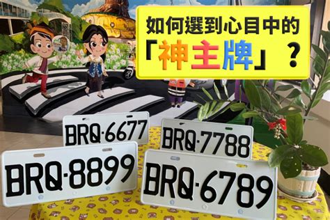 8885車牌|【8885車牌】錯過後悔！罕見「8885」車牌現身，立即搶購打造。